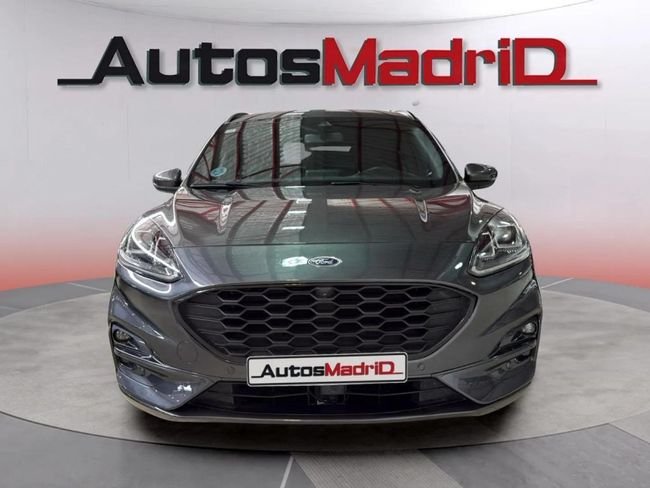 Ford Kuga ST-Line 2.0 EcoBlue 4x4 Auto 2020, foto 2