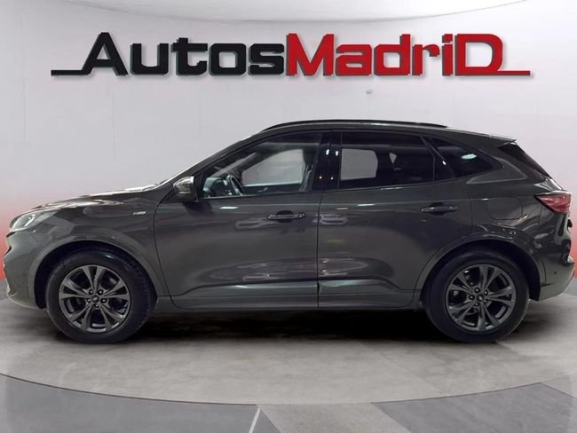 Ford Kuga ST-Line 2.0 EcoBlue 4x4 Auto 2020, foto 4