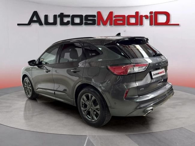 Ford Kuga ST-Line 2.0 EcoBlue 4x4 Auto 2020, foto 5