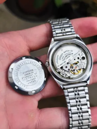 Citizen Panda Automático