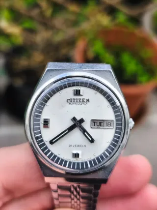 Citizen Panda Automático