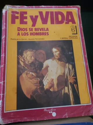 Lote Fe y Vida ,5°,6°,7° y 8°