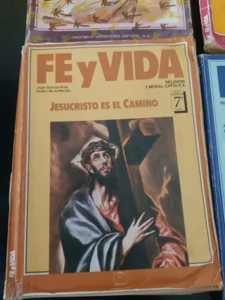 Lote Fe y Vida ,5°,6°,7° y 8°