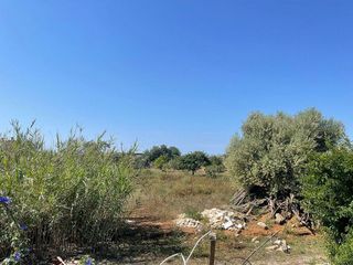 Terreno en venta en Campos