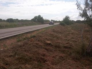 Solar en venta en Gallipont en Pobla de Vallbona (la)