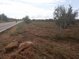 Solar en venta en Gallipont en Pobla de Vallbona (la)