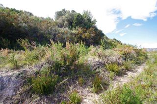 Solar en venta en Teulada Pueblo en Teulada