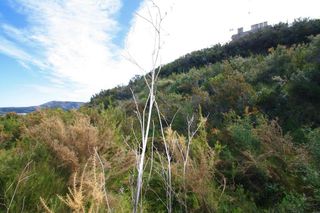 Solar en venta en Teulada Pueblo en Teulada