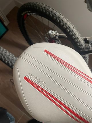 Bicicleta de Montaña Giant Blanca