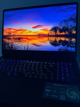 Portátil MSI Alpha 17 C7VF-021XES