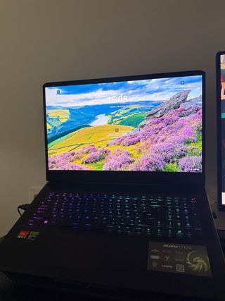 Portátil MSI Alpha 17 C7VF-021XES