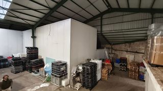 Nave industrial en venta en Roces Sur en Gijón