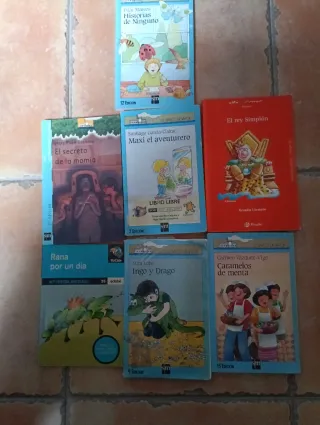 Lote Libros El Barco De Vapor a partir de 7 años