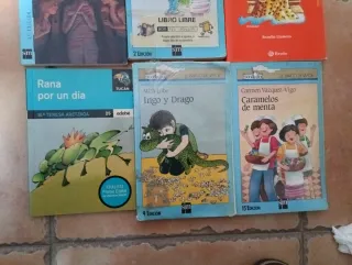 Lote Libros El Barco De Vapor a partir de 7 años