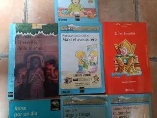 Lote Libros El Barco De Vapor a partir de 7 años