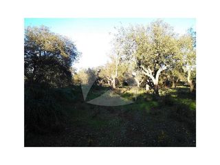 Terreno en venta en Avda. Elvas en Badajoz