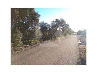 Terreno en venta en Avda. Elvas en Badajoz