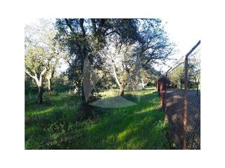 Terreno en venta en Avda. Elvas en Badajoz