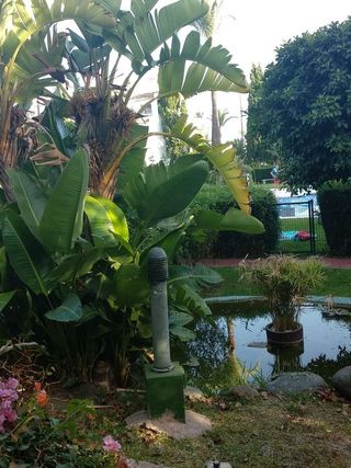Casa adosada en alquiler en Riviera del Sol en Mijas