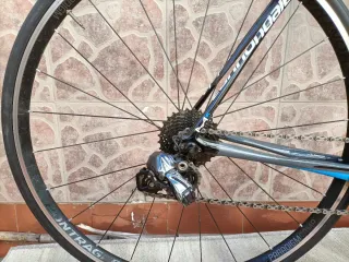 Bicicleta Cannondale Synapse talla 56