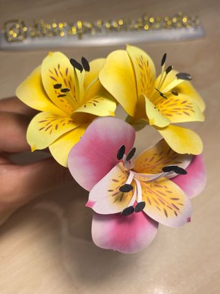 Pack 10 Flores Astromélias de Papel