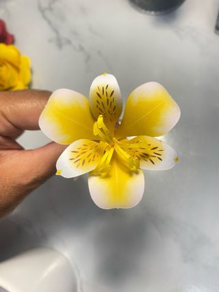 Pack 10 Flores Astromélias de Papel