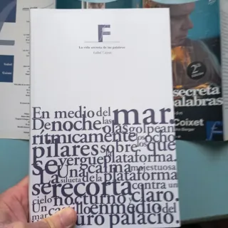 LA VIDA SECRETA DE LAS PALABRAS: el guión