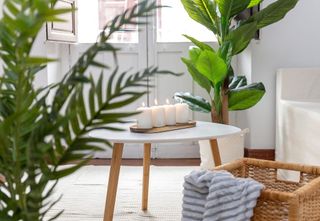 Piso en venta en Centro - Sagrario en Granada