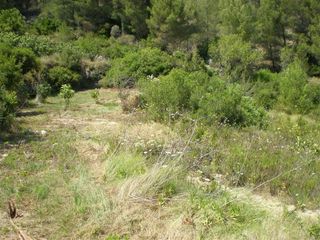 Terreno en venta en Callosa d´En Sarrià