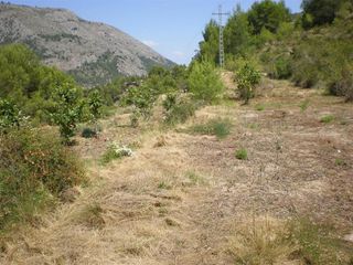 Terreno en venta en Callosa d´En Sarrià