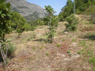 Terreno en venta en Callosa d´En Sarrià