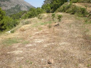 Terreno en venta en Callosa d´En Sarrià