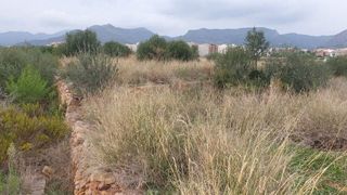 Terreno en venta en Vall d´Uixó (la)