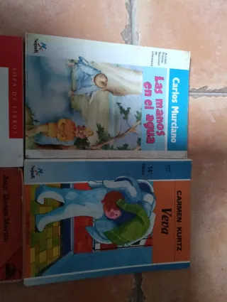 Lote Libros Infantil El Pirata Garrapata