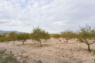 Chalet en venta en Moratalla