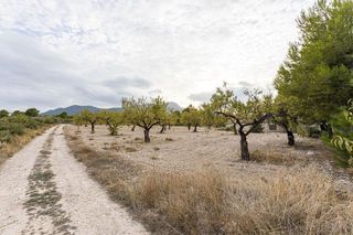 Chalet en venta en Moratalla