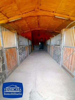 Chalet en venta en Arcos de la Frontera