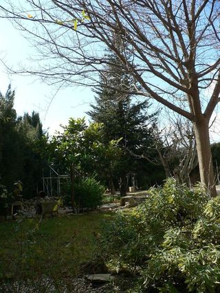 Chalet en venta en Almansa