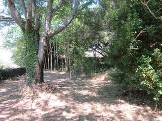 Local comercial en alquiler en Béjar