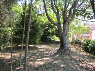 Local comercial en alquiler en Béjar