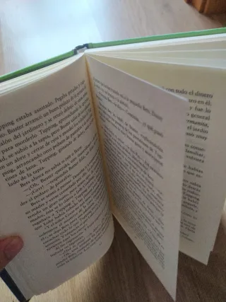 Misterio del gato desaparecido