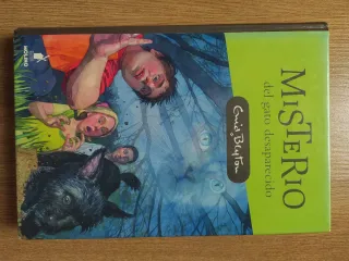 Misterio del gato desaparecido