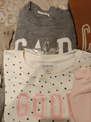 Lote Ropa Chica: Sudaderas Marrón y Rosa