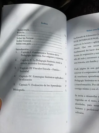 PEDAGOGÍA SISTÉMICA EN EL AULA: Guía para la Ac...