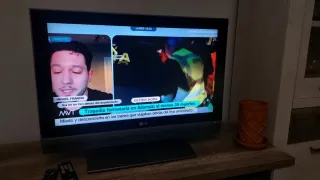 Televisor LG 32 TDT con mandos