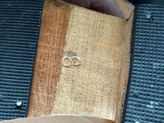 Tacco. Zuecos. Zocos de piel. 38