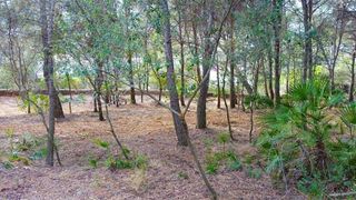 Terreno en venta en Pollença en Pollença