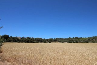 Terreno en venta en Porreres