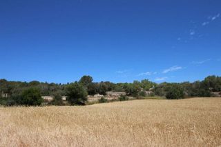 Terreno en venta en Porreres
