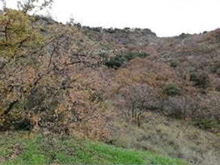 Solar en venta en Villalbilla pueblo en Villalbilla